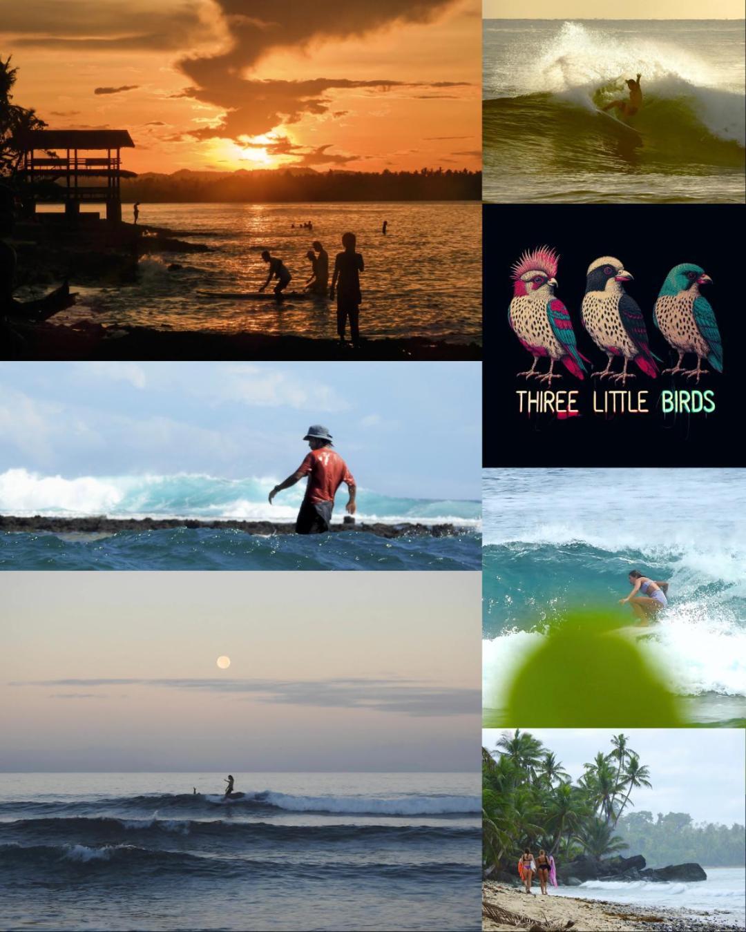 ג'נרל לונה Three Little Birds Surf Hostel מראה חיצוני תמונה