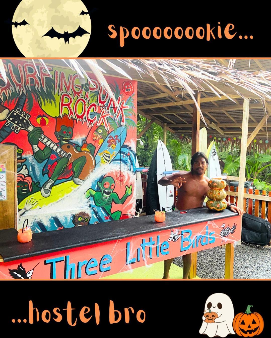 ג'נרל לונה Three Little Birds Surf Hostel מראה חיצוני תמונה